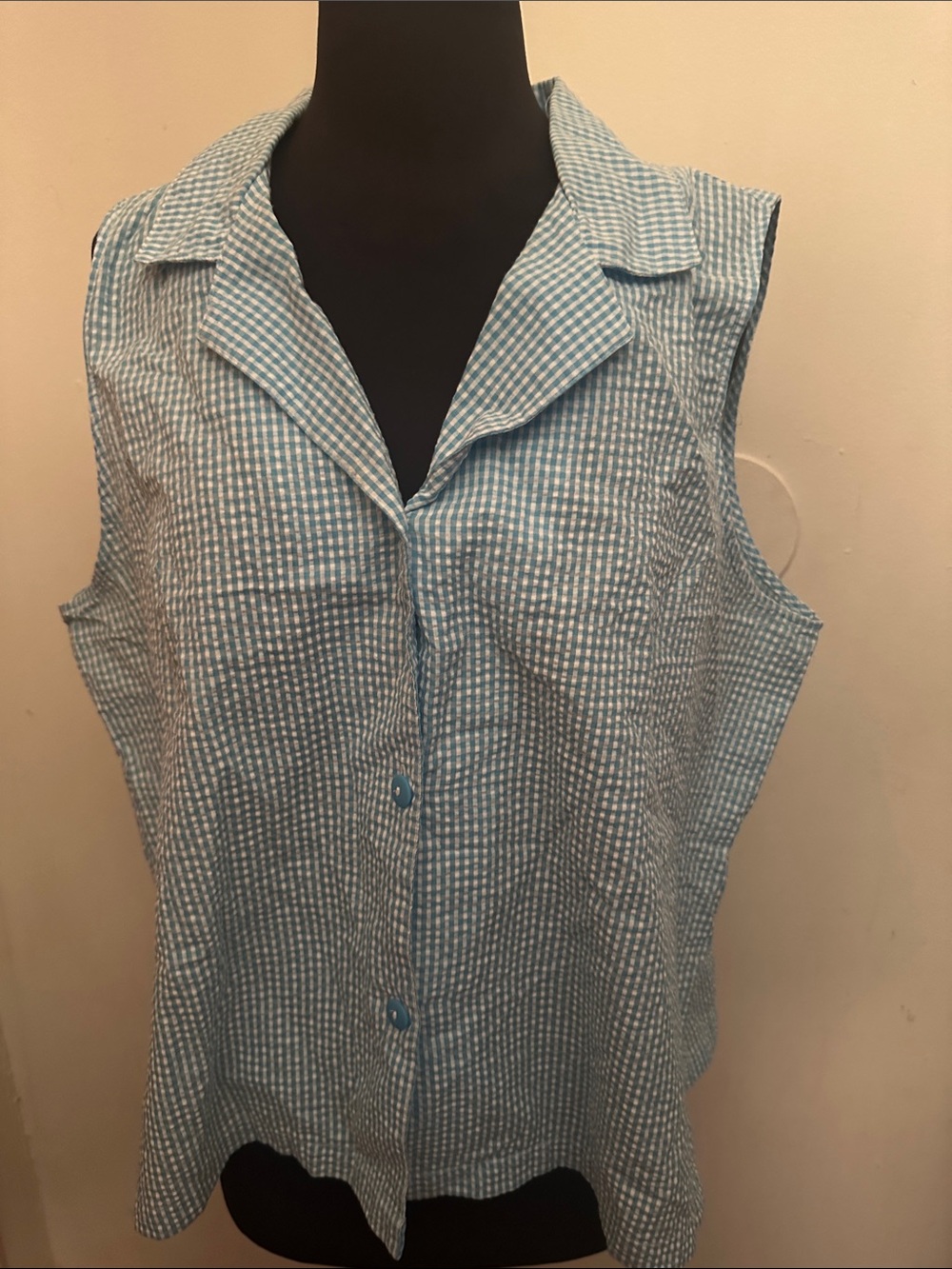 Villager Blue and White Seersucker Button Front Sleeveless Top